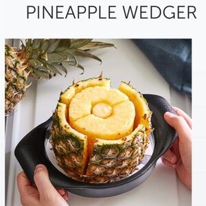 Pampered Chef pineapple wedger‎ with cover